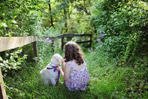 Die besten Spiele und Aktivitäten für Hunde jeden Alters