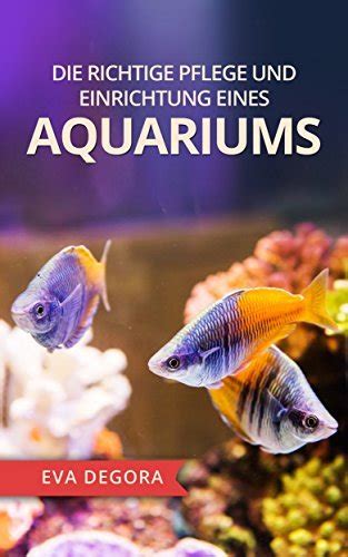 Die richtige Pflege Ihres Aquariums: Ein umfassender Leitfaden