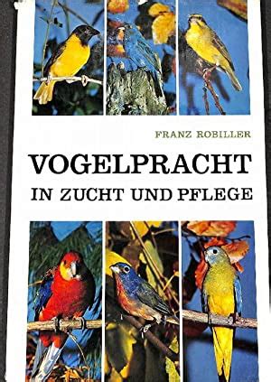 Die richtige Pflege und Haltung von Vögeln: Ein umfassender Leitfaden