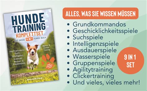 Hundetraining leicht gemacht: Grundkommandos und mehr