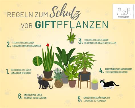 Katzen und ihre Beziehung zu Pflanzen: Giftige und sichere Pflanzen