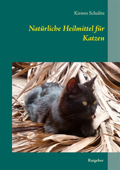 Natürliche Heilmittel für häufige Katzenkrankheiten