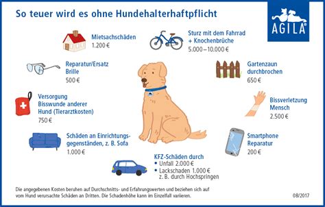 Wie man die passende Hundehaftpflichtversicherung auswählt