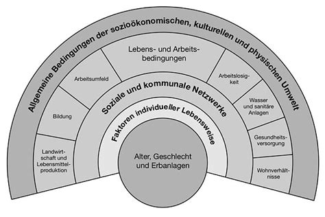 Der Einfluss der Umgebung auf die Gesundheit von Reptilien