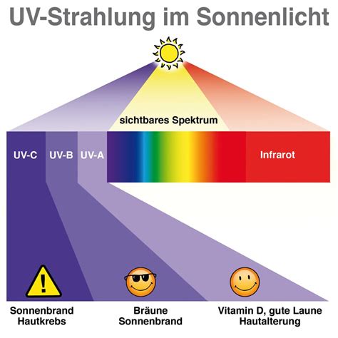 Der Einfluss von UV-Licht auf die Gesundheit von Reptilien