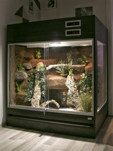 Die Bedeutung eines geeigneten Terrariums für die Gesundheit von Reptilien