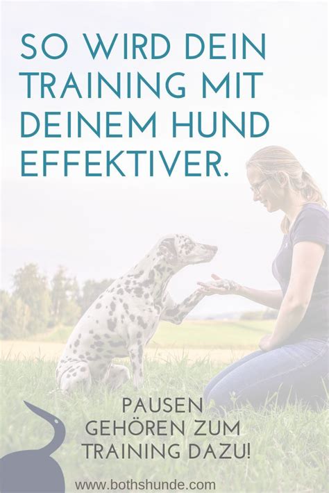 Die Bedeutung von Pausen und Ruhephasen im Hundetraining