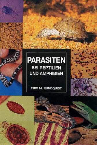 Gefahren von Parasiten bei Reptilien