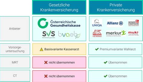 Gesundheitsvorsorge für Vögel: Regelmäßige Kontrollen und Pflege