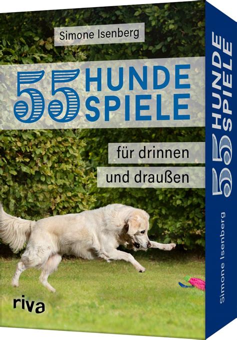 Hundespiele für mentale Stimulation und Denksportaufgaben