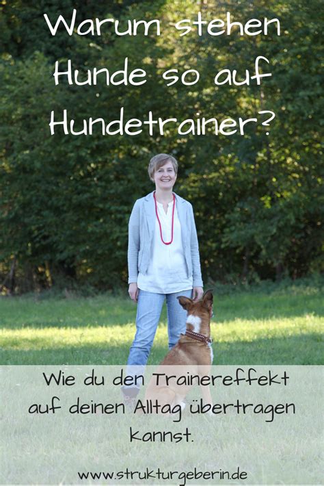 Hundetraining im Alltag: Wie integriere ich Training in den Tagesablauf?