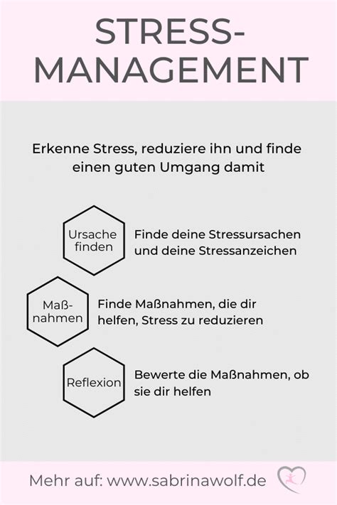 Kätzchenerziehung: Umgang mit Stresssituationen