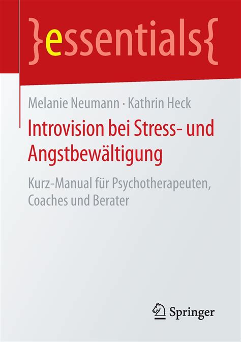 Kätzchentraining: Sozialisation und Angstbewältigung