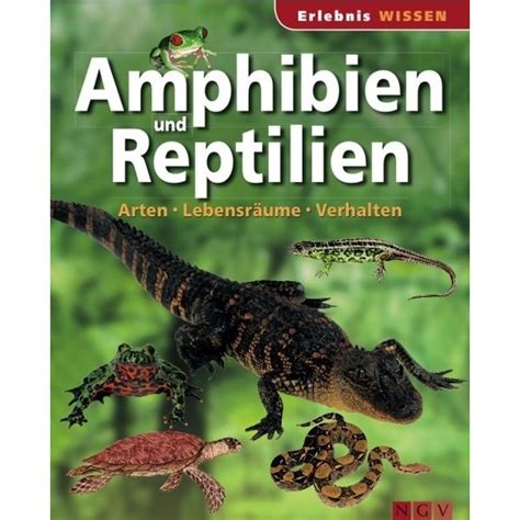 Reptilien-Verhalten verstehen und fördern