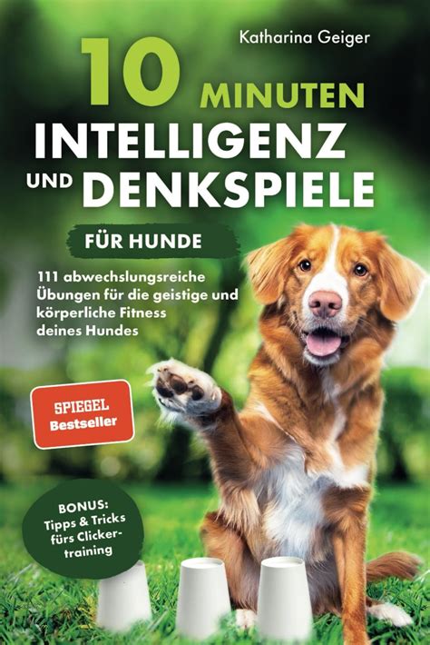 Spiele und Aktivitäten, um die körperliche Fitness Ihres Hundes zu fördern