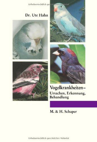 Ursachen von Vogelkrankheiten: Tipps zur Minimierung von Risikofaktoren