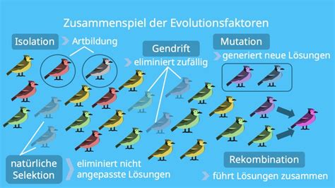 Vogelkrankheiten: Die Rolle von genetischen Faktoren und Zuchtbedingungen