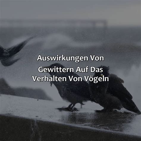 Vogelkrankheiten und ihre Auswirkungen auf das Verhalten von Vögeln