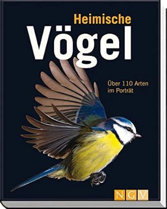 Vogelkundler im Porträt: Expertenwissen über heimische Vogelrassen