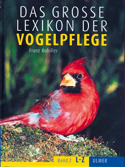 Vogelpflege im Winter: Besondere Herausforderungen und Tipps