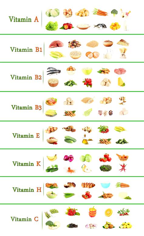 Wichtige Vitamine und Nahrungsergänzungsmittel für die Gesundheit von Reptilien