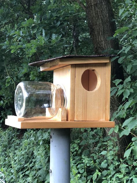 Wie man das Futterhaus optimal für heimische Vogelrassen gestaltet